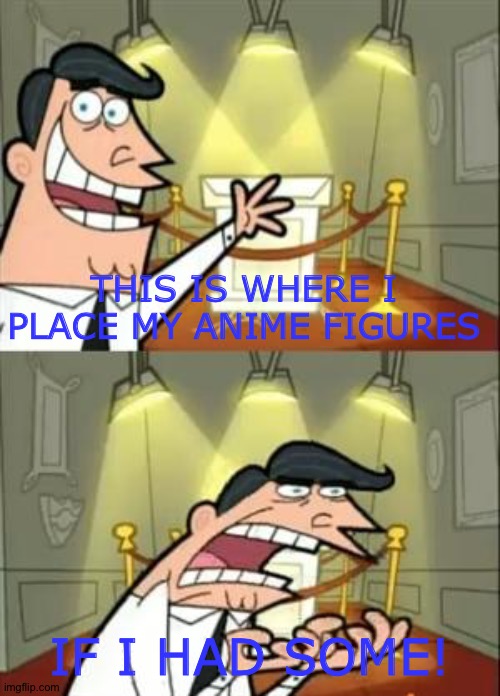 This Is Where I'd Put My Trophy If I Had One Meme | THIS IS WHERE I PLACE MY ANIME FIGURES; IF I HAD SOME! | image tagged in memes,this is where i'd put my trophy if i had one | made w/ Imgflip meme maker