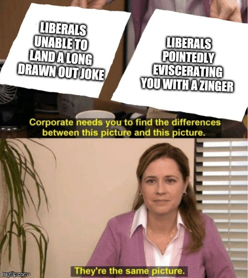 They’re the same thing | LIBERALS
UNABLE TO 
LAND A LONG
 DRAWN OUT JOKE LIBERALS POINTEDLY EVISCERATING YOU WITH A ZINGER | image tagged in theyre the same thing | made w/ Imgflip meme maker