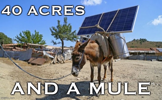 Present-day value of 40 acres and a mule for the descendants of slaves: $6.4 trillion dollars. Not too much to ask is it? | 40 ACRES; AND A MULE | image tagged in solar mule,racism,slavery,slaves,slave,no racism | made w/ Imgflip meme maker