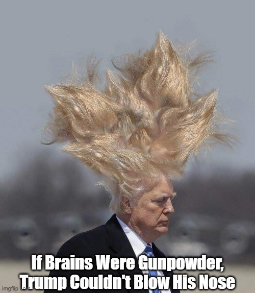  If Brains Were Gunpowder, Trump Couldn't Blow His Nose | made w/ Imgflip meme maker