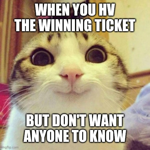 Smiling Cat Meme | WHEN YOU HV THE WINNING TICKET; BUT DON'T WANT ANYONE TO KNOW | image tagged in memes,smiling cat | made w/ Imgflip meme maker