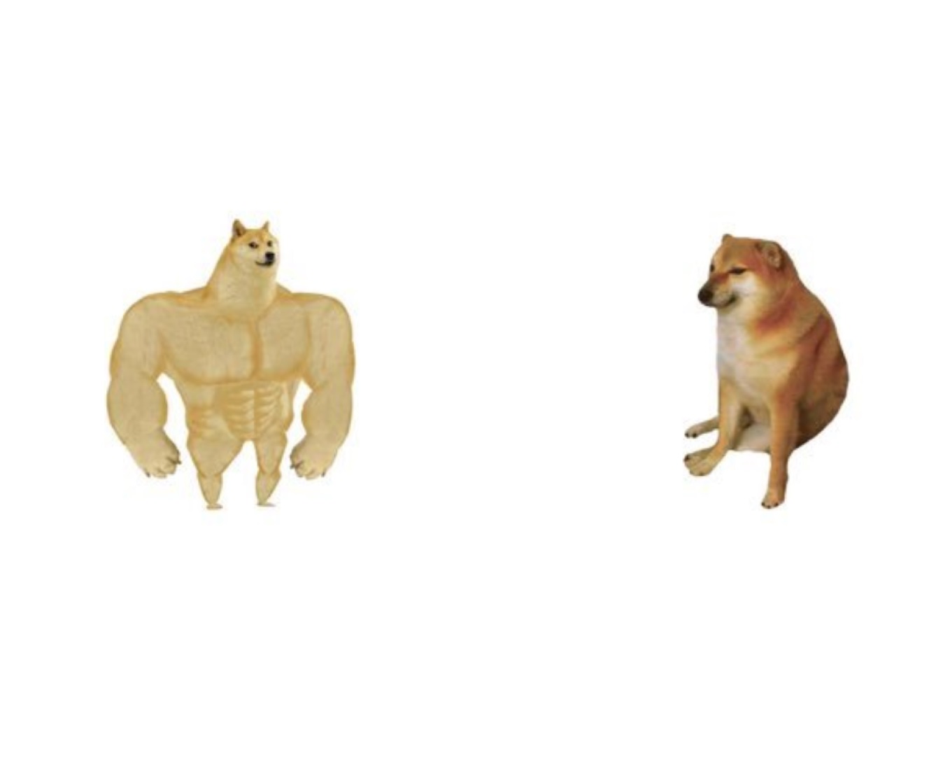 perro grande y chems Blank Meme Template