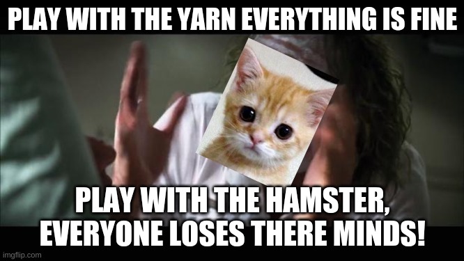 And everybody loses their minds | PLAY WITH THE YARN EVERYTHING IS FINE; PLAY WITH THE HAMSTER, EVERYONE LOSES THERE MINDS! | image tagged in memes,and everybody loses their minds | made w/ Imgflip meme maker
