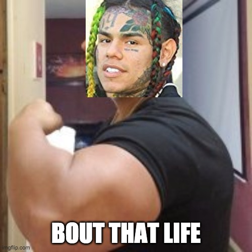 489yp1.jpg