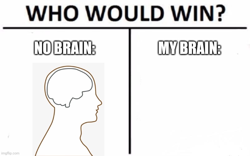 wHo WouLd Win❓ | NO BRAIN:; MY BRAIN: | image tagged in memes,who would win,no brain vs my brain | made w/ Imgflip meme maker