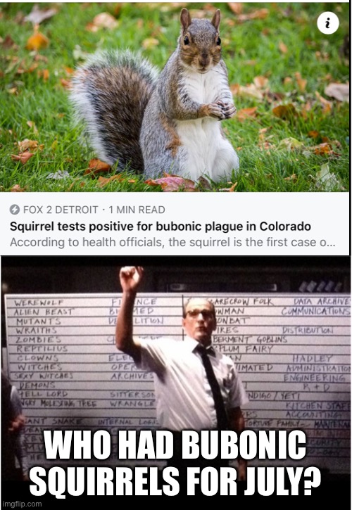 Who ha | WHO HAD BUBONIC SQUIRRELS FOR JULY? | image tagged in ok who had | made w/ Imgflip meme maker