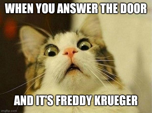 Scared Cat | WHEN YOU ANSWER THE DOOR; AND IT'S FREDDY KRUEGER | image tagged in memes,scared cat | made w/ Imgflip meme maker