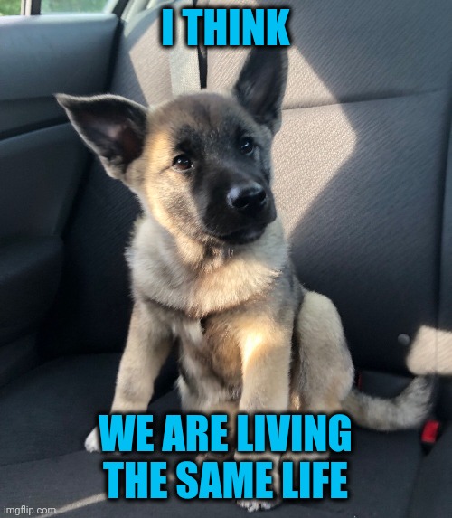 I THINK WE ARE LIVING THE SAME LIFE | made w/ Imgflip meme maker