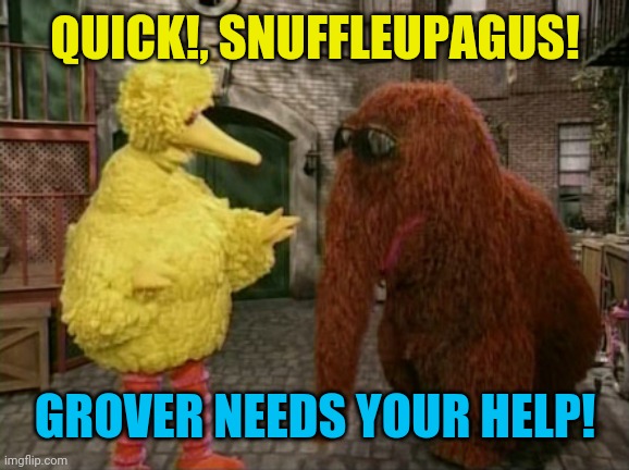 Big Bird And Snuffy Meme | QUICK!, SNUFFLEUPAGUS! GROVER NEEDS YOUR HELP! | image tagged in memes,big bird and snuffy | made w/ Imgflip meme maker