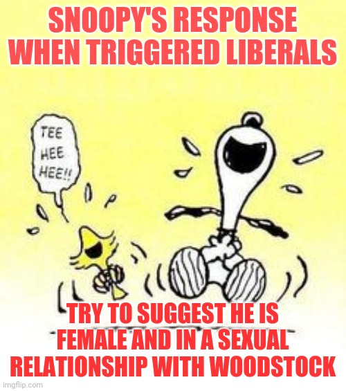 Being woke.....it is precisely the reason I am happy being asleep | SNOOPY'S RESPONSE WHEN TRIGGERED LIBERALS; TRY TO SUGGEST HE IS FEMALE AND IN A SEXUAL RELATIONSHIP WITH WOODSTOCK | image tagged in snoopy and woodstock laughing,woke,college liberal | made w/ Imgflip meme maker