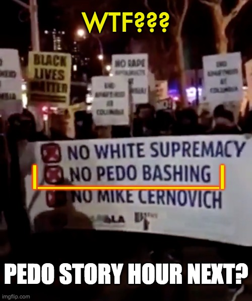 F*** every movement behind this banner. | WTF??? |_____________|; PEDO STORY HOUR NEXT? | image tagged in blm,no pedo bashing | made w/ Imgflip meme maker
