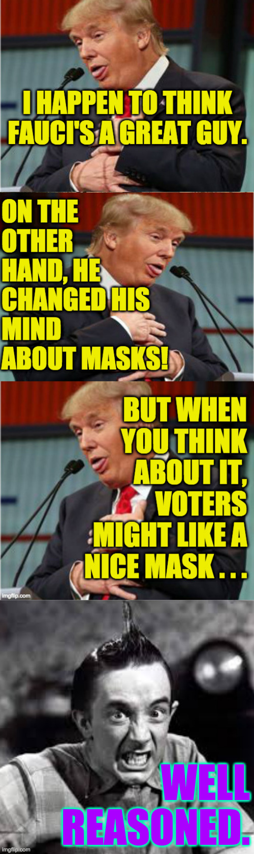 I can see why Trump doesn't like people who can't make up their minds. | WELL REASONED. | image tagged in memes,indecision,idiot trump | made w/ Imgflip meme maker