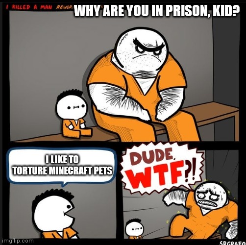 Srgrafo dude wtf | WHY ARE YOU IN PRISON, KID? I LIKE TO TORTURE MINECRAFT PETS | image tagged in srgrafo dude wtf | made w/ Imgflip meme maker