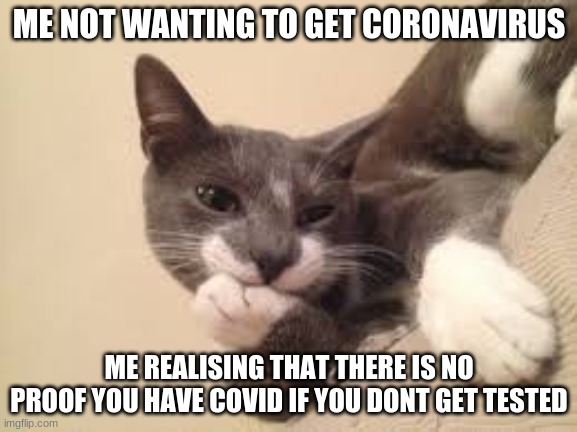 covid test | ME NOT WANTING TO GET CORONAVIRUS; ME REALISING THAT THERE IS NO PROOF YOU HAVE COVID IF YOU DONT GET TESTED | image tagged in covid 19 | made w/ Imgflip meme maker
