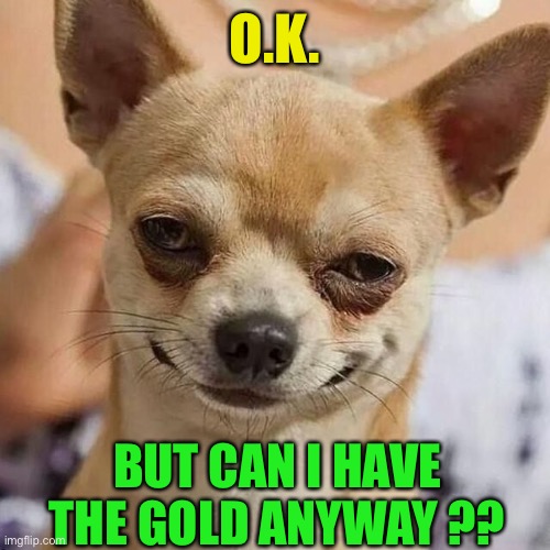 Smirking Dog | O.K. BUT CAN I HAVE THE GOLD ANYWAY ?? | image tagged in smirking dog | made w/ Imgflip meme maker