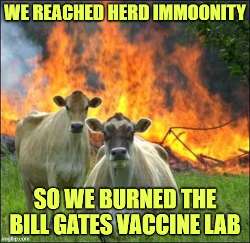 Bill Gates... this guy kills me. Or wants to. | WE REACHED HERD IMMOONITY; SO WE BURNED THE BILL GATES VACCINE LAB | image tagged in memes,evil cows,covid-19 | made w/ Imgflip meme maker