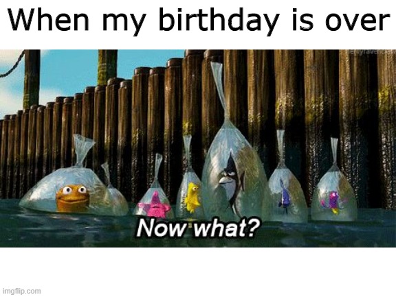 Now What? | When my birthday is over | image tagged in now what | made w/ Imgflip meme maker