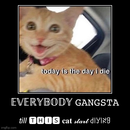 Everybody gangsta | image tagged in funny,demotivationals | made w/ Imgflip demotivational maker