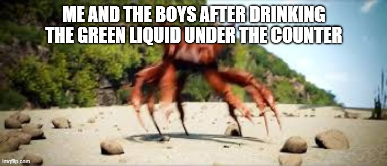 crab rave | ME AND THE BOYS AFTER DRINKING THE GREEN LIQUID UNDER THE COUNTER | image tagged in crab rave | made w/ Imgflip meme maker