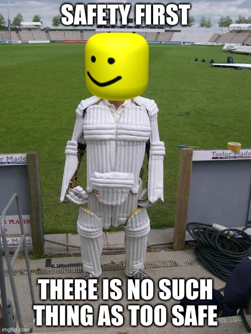 No Such Thing As Too Safe | SAFETY FIRST; THERE IS NO SUCH THING AS TOO SAFE | image tagged in funny meme,sports,cricket | made w/ Imgflip meme maker