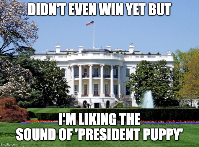 I've heard it from a lot of people... | DIDN'T EVEN WIN YET BUT; I'M LIKING THE SOUND OF 'PRESIDENT PUPPY' | image tagged in white house,mostly sunny,lol,president puppy,rolls off the tongue | made w/ Imgflip meme maker