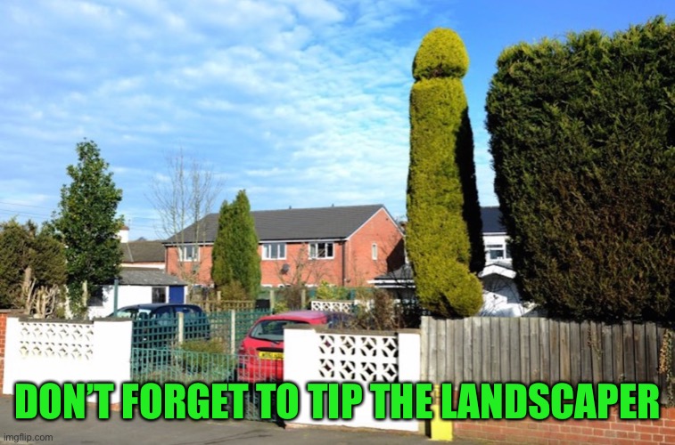 When you ask for bush trimming tips | DON’T FORGET TO TIP THE LANDSCAPER | image tagged in bush | made w/ Imgflip meme maker
