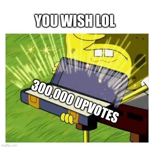 You wish that you had this much lol | YOU WISH LOL; 300,000 UPVOTES | image tagged in spongebob box | made w/ Imgflip meme maker