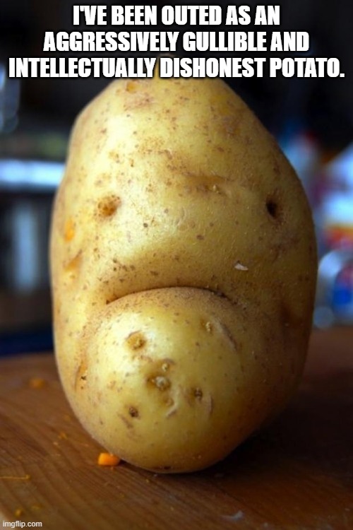 sad potato |  I'VE BEEN OUTED AS AN AGGRESSIVELY GULLIBLE AND INTELLECTUALLY DISHONEST POTATO. | image tagged in sad potato | made w/ Imgflip meme maker