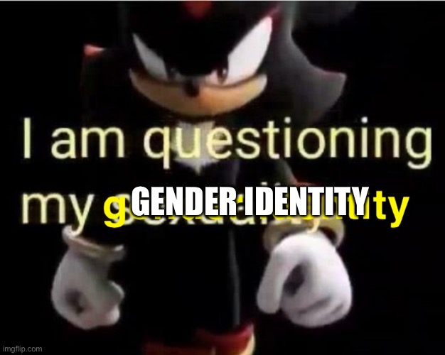 i am questioning my gender identity | GENDER IDENTITY | image tagged in sad | made w/ Imgflip meme maker