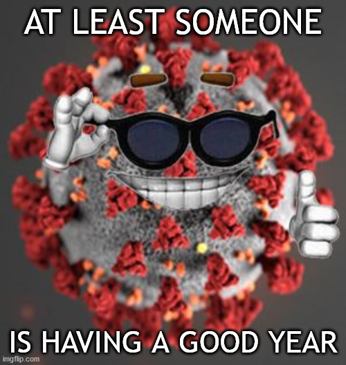 Someone is having a good year | AT LEAST SOMEONE; IS HAVING A GOOD YEAR | image tagged in coronavirus | made w/ Imgflip meme maker