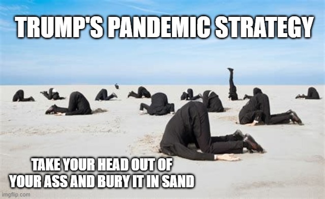 Less Testing Means Fewer Cases?  DON'T BE A FOOL!  TRUMP = DEATH | TRUMP'S PANDEMIC STRATEGY; TAKE YOUR HEAD OUT OF YOUR ASS AND BURY IT IN SAND | image tagged in covid-19,coronavirus,pandemic,trump equals death,donald trump is an idiot | made w/ Imgflip meme maker