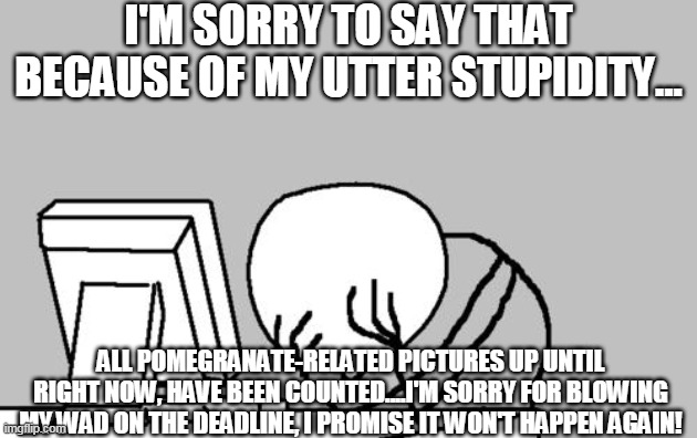 UPDATE INBOUND | I'M SORRY TO SAY THAT BECAUSE OF MY UTTER STUPIDITY... ALL POMEGRANATE-RELATED PICTURES UP UNTIL RIGHT NOW, HAVE BEEN COUNTED....I'M SORRY FOR BLOWING MY WAD ON THE DEADLINE, I PROMISE IT WON'T HAPPEN AGAIN! | image tagged in memes,computer guy facepalm | made w/ Imgflip meme maker