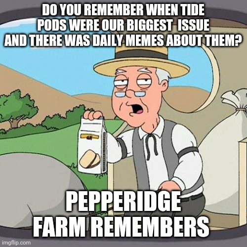 I think  the  last time  I was on here, tide pods were  hot  lol | DO YOU REMEMBER WHEN TIDE PODS WERE OUR BIGGEST  ISSUE AND THERE WAS DAILY MEMES ABOUT THEM? PEPPERIDGE FARM REMEMBERS | image tagged in memes,pepperidge farm remembers | made w/ Imgflip meme maker