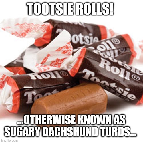 My dog ruined Tootsie Rolls | TOOTSIE ROLLS! ...OTHERWISE KNOWN AS SUGARY DACHSHUND TURDS... | image tagged in memes,dachshunds,candy,dog | made w/ Imgflip meme maker