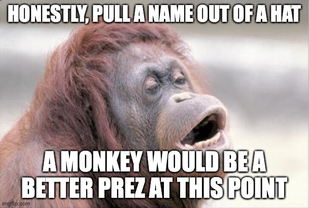 Monkey OOH | HONESTLY, PULL A NAME OUT OF A HAT; A MONKEY WOULD BE A BETTER PREZ AT THIS POINT | image tagged in memes,monkey ooh | made w/ Imgflip meme maker