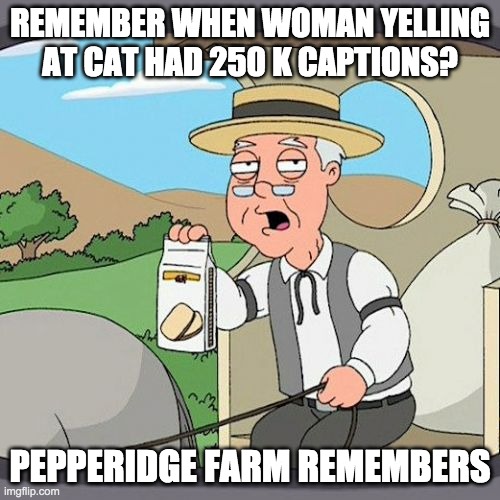 Pepperidge Farm Remembers | REMEMBER WHEN WOMAN YELLING AT CAT HAD 250 K CAPTIONS? PEPPERIDGE FARM REMEMBERS | image tagged in memes,pepperidge farm remembers | made w/ Imgflip meme maker