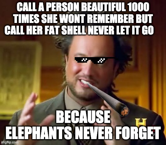 fax | CALL A PERSON BEAUTIFUL 1000 TIMES SHE WONT REMEMBER BUT CALL HER FAT SHELL NEVER LET IT GO; BECAUSE ELEPHANTS NEVER FORGET | image tagged in memes,ancient aliens | made w/ Imgflip meme maker