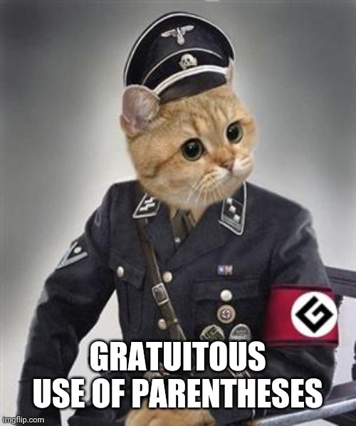 Grammar Nazi Cat | GRATUITOUS USE OF PARENTHESES | image tagged in grammar nazi cat | made w/ Imgflip meme maker