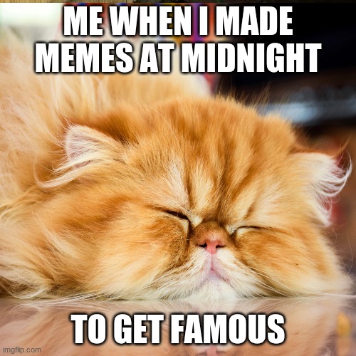 this is me... | ME WHEN I MADE MEMES AT MIDNIGHT; TO GET FAMOUS | image tagged in cats,sleepy,memes,funny,this is me,upvotes begging | made w/ Imgflip meme maker