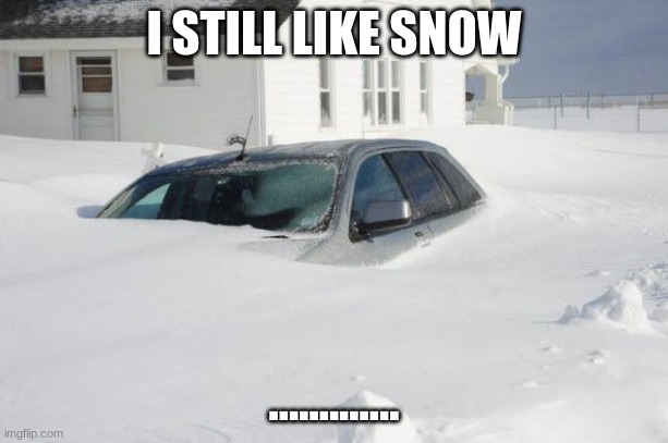 ALSO SNOW | I STILL LIKE SNOW; ............. | image tagged in snow storm large | made w/ Imgflip meme maker