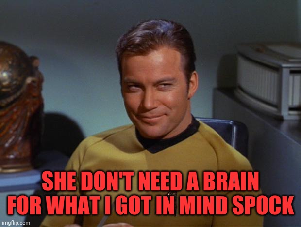 Kirk Smirk | SHE DON'T NEED A BRAIN FOR WHAT I GOT IN MIND SPOCK | image tagged in kirk smirk | made w/ Imgflip meme maker