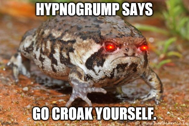 Grumpy Toad | HYPNOGRUMP SAYS; GO CROAK YOURSELF. | image tagged in memes,grumpy toad | made w/ Imgflip meme maker