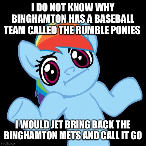 Pony Shrugs Meme | I DO NOT KNOW WHY BINGHAMTON HAS A BASEBALL TEAM CALLED THE RUMBLE PONIES; I WOULD JET BRING BACK THE BINGHAMTON METS AND CALL IT GO | image tagged in memes,pony shrugs | made w/ Imgflip meme maker