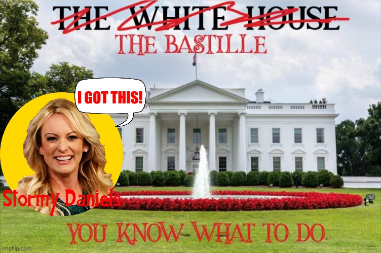 Stormy-ing the Bastille! | I GOT THIS! | image tagged in stormy,bastille,trump | made w/ Imgflip meme maker