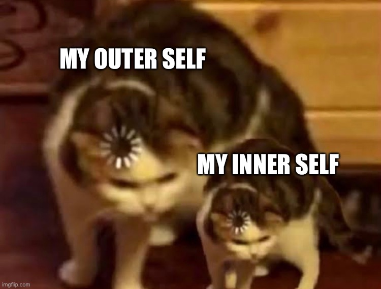 Bamboozled | MY OUTER SELF; MY INNER SELF | image tagged in memes | made w/ Imgflip meme maker