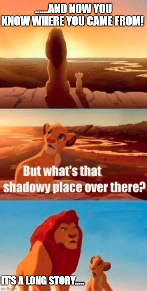 Simba Shadowy Place | ......AND NOW YOU KNOW WHERE YOU CAME FROM! IT'S A LONG STORY..... | image tagged in memes,simba shadowy place,random tag,oh wow are you actually reading these tags | made w/ Imgflip meme maker