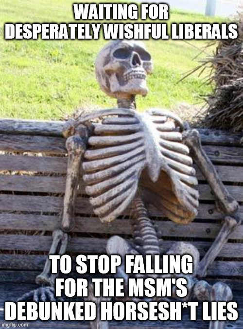 Waiting Skeleton Meme | WAITING FOR DESPERATELY WISHFUL LIBERALS TO STOP FALLING FOR THE MSM'S DEBUNKED HORSESH*T LIES | image tagged in memes,waiting skeleton | made w/ Imgflip meme maker