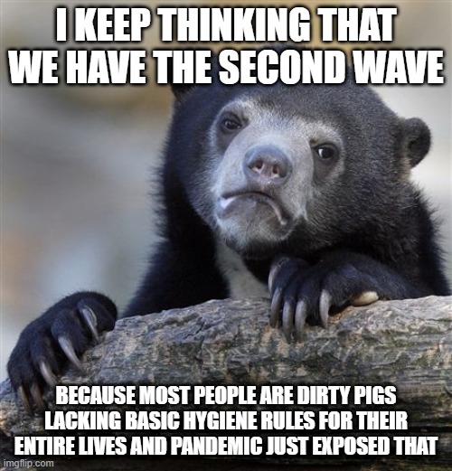 Confession Bear | I KEEP THINKING THAT WE HAVE THE SECOND WAVE; BECAUSE MOST PEOPLE ARE DIRTY PIGS LACKING BASIC HYGIENE RULES FOR THEIR ENTIRE LIVES AND PANDEMIC JUST EXPOSED THAT | image tagged in memes,confession bear,AdviceAnimals | made w/ Imgflip meme maker