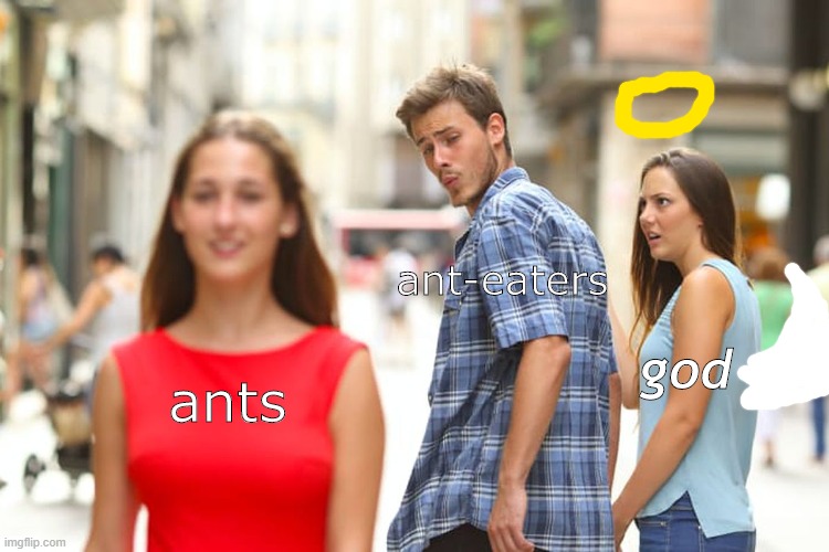 yeetus cleetus commit self eat us | ant-eaters; god; ants | image tagged in ants,ant eaters,god | made w/ Imgflip meme maker
