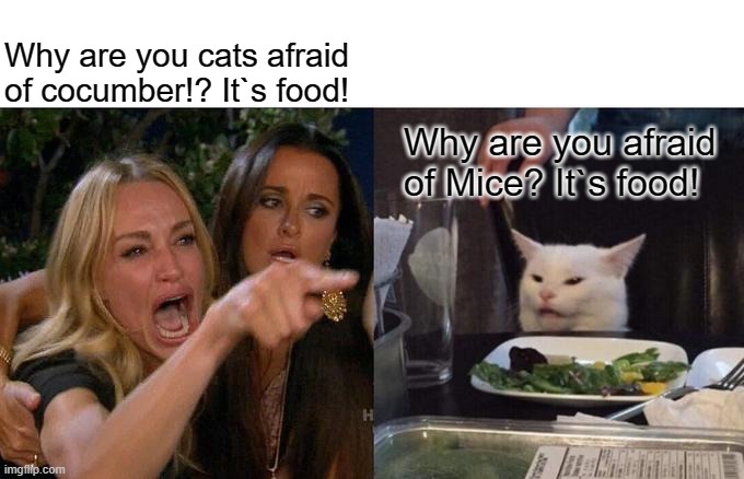 WHY THO? | Why are you cats afraid of cocumber!? It`s food! Why are you afraid of Mice? It`s food! | image tagged in memes,woman yelling at cat | made w/ Imgflip meme maker